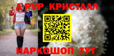 спиды Гудермес