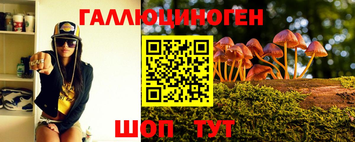 даркнет сайт  Псилоцибиновые грибы GOLDEN TEACHER  Псилоцибиновые грибы MAGIC MUSHROOMS  Вход с VPN  Губаха 